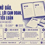 mau-loi-mo-dau-tieu-luan