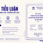 mau-tieu-luan